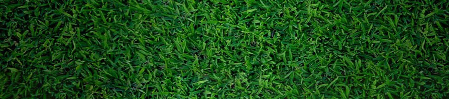 Baseball Towns The Home T