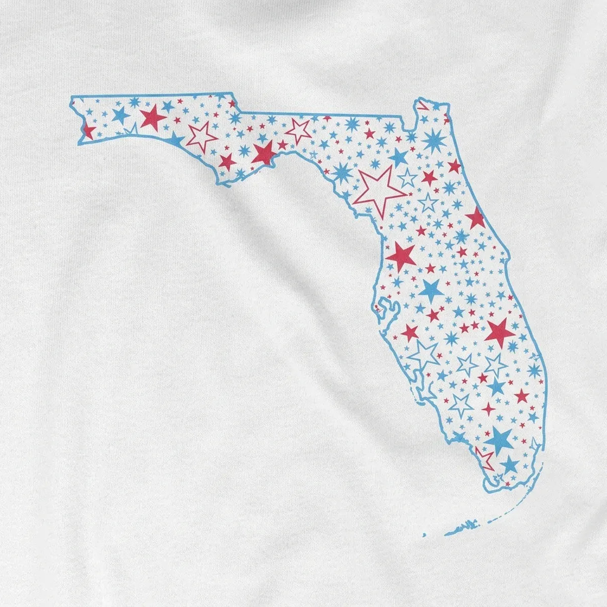 Florida Star State design close-up