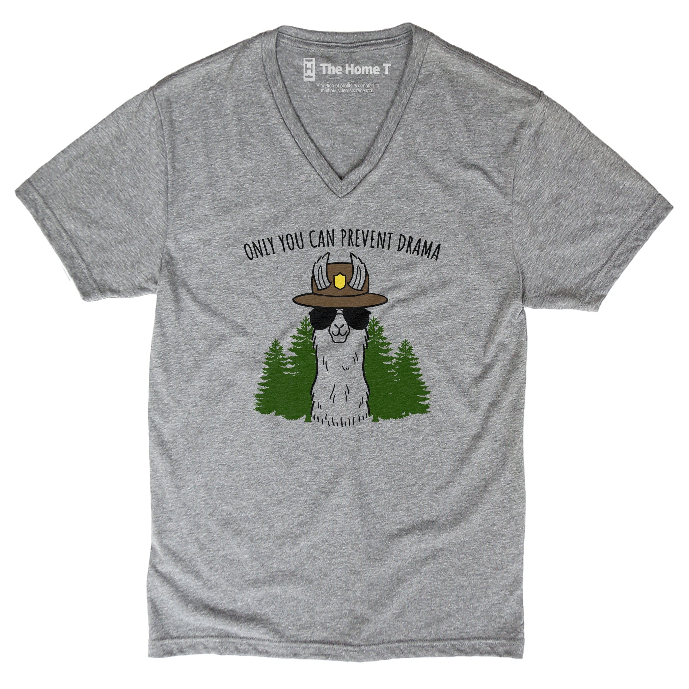 Only You Can Prevent Drama