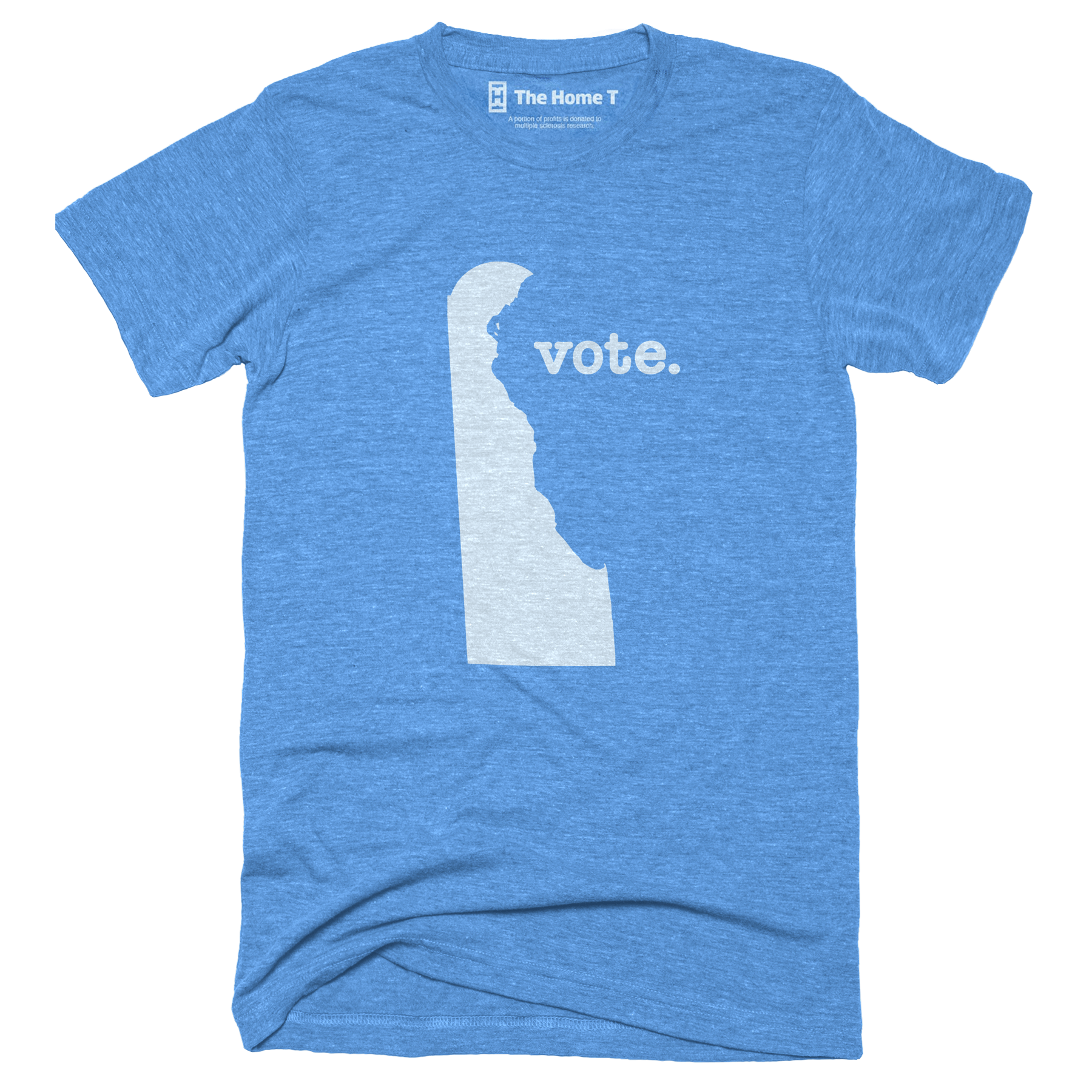 Delaware Vote Home T