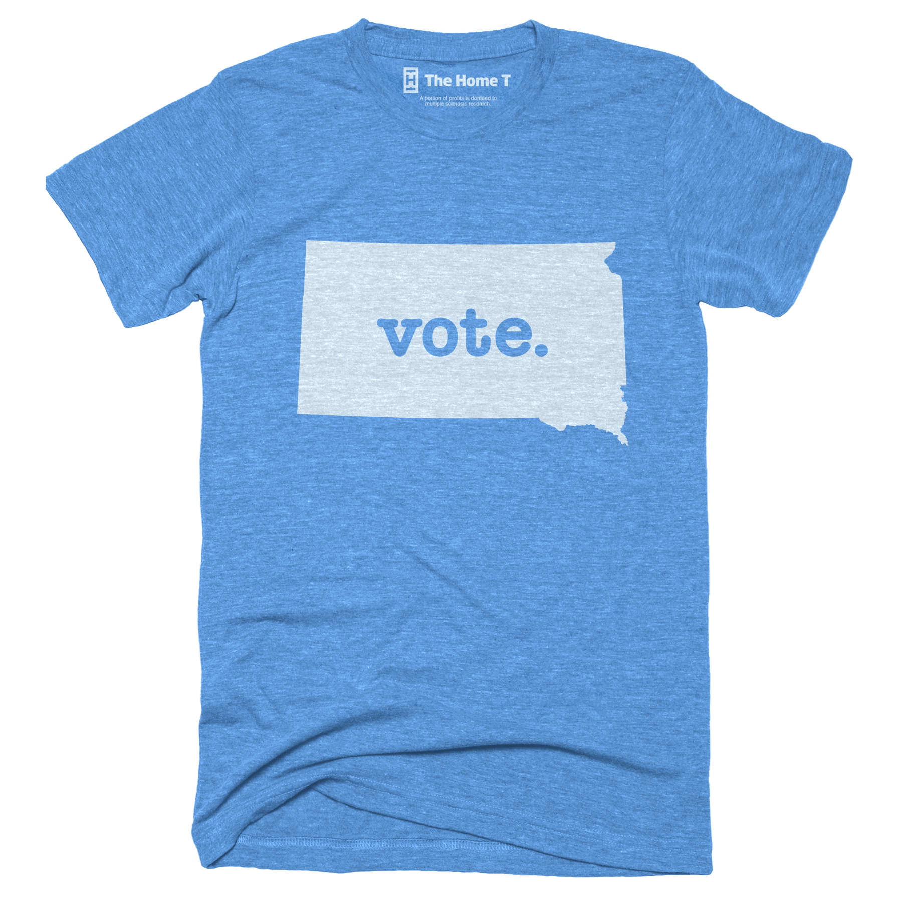 South Dakota Vote Blue Home T