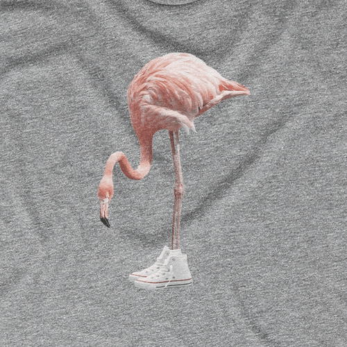 Flamingo Kicks