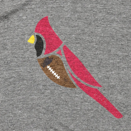 Arizona Football