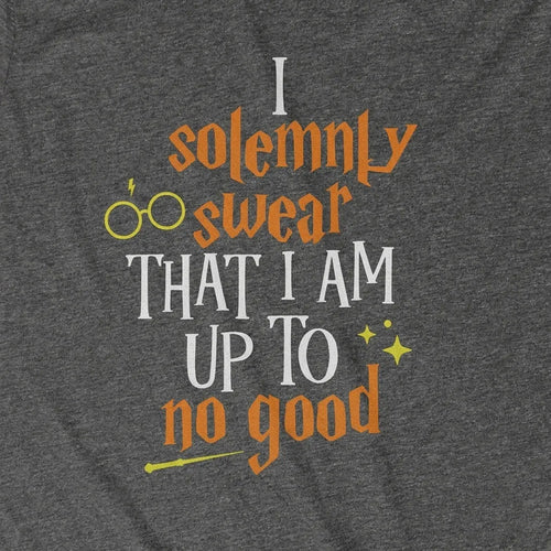 I Solemnly Swear That I Am Up To No Good