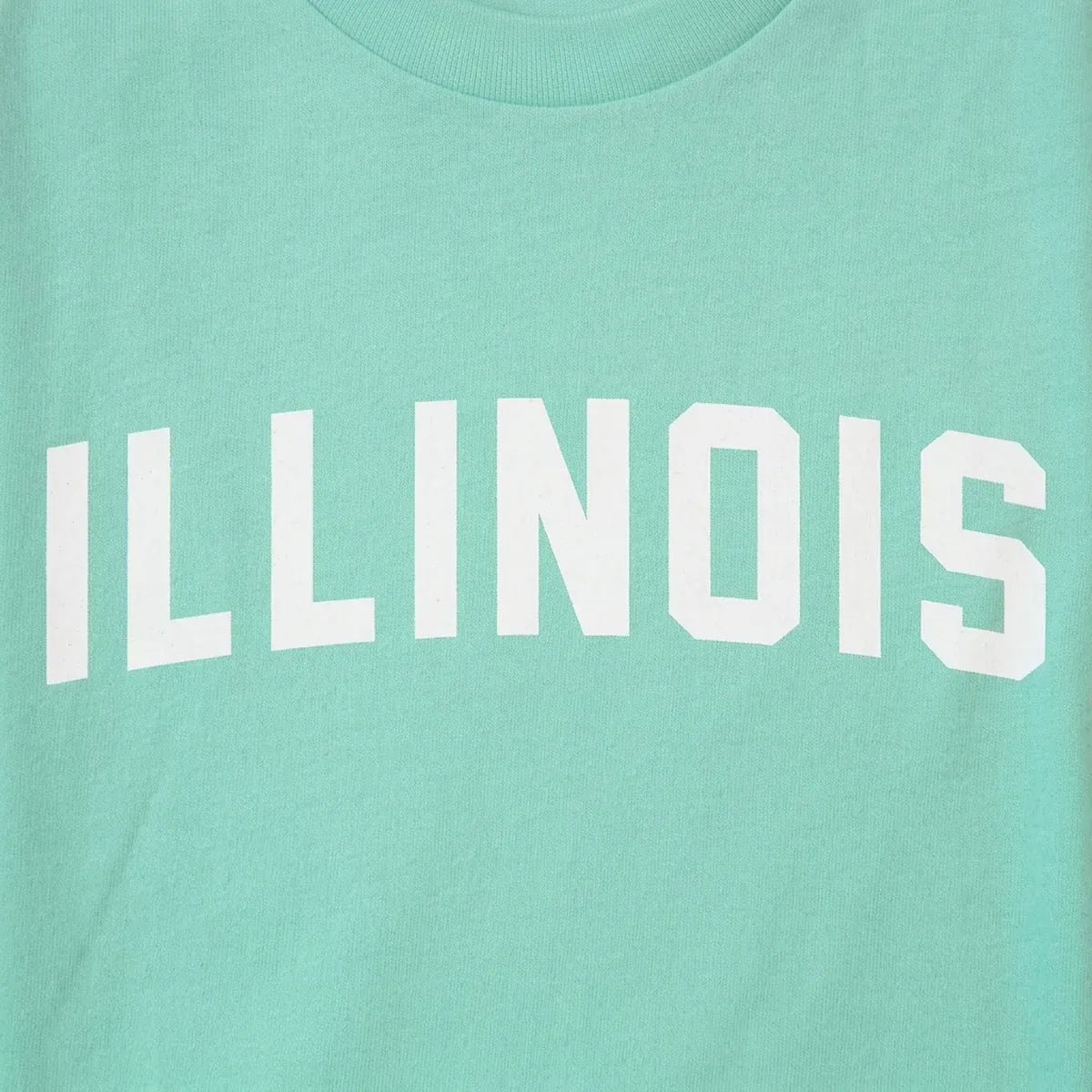 Illinois Arched design close-up