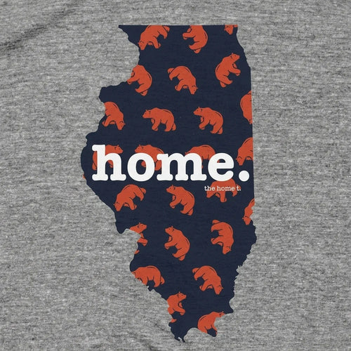 Illinois Bear Pattern