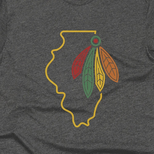 Illinois Hockey