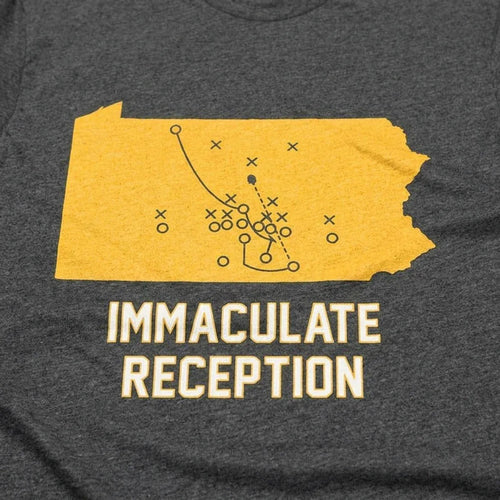Immaculate Reception