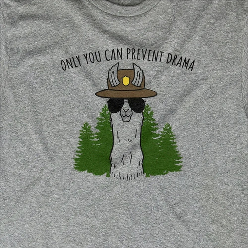 Only You Can Prevent Drama