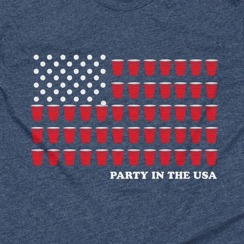 Party in the USA FLAG