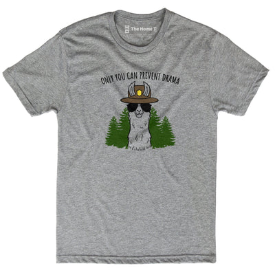 Only You Can Prevent Drama