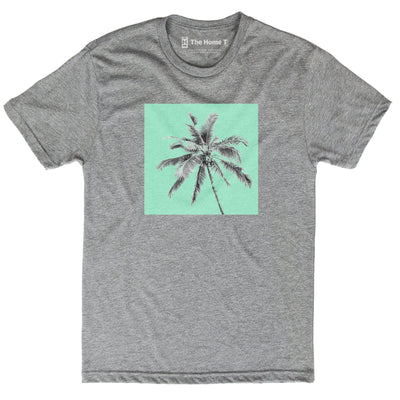 Palm Tree