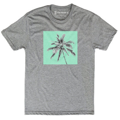 Palm Tree