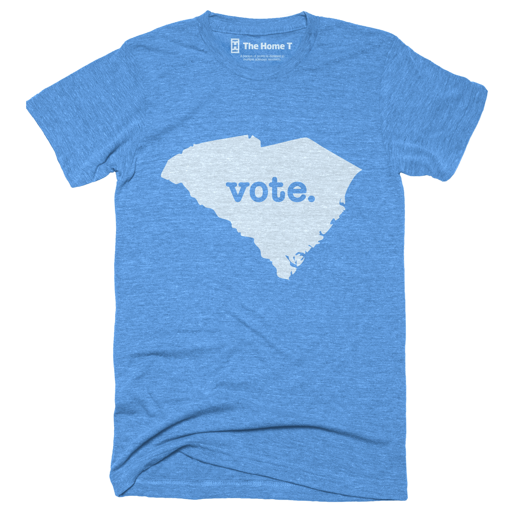 South Carolina Vote Blue Home T